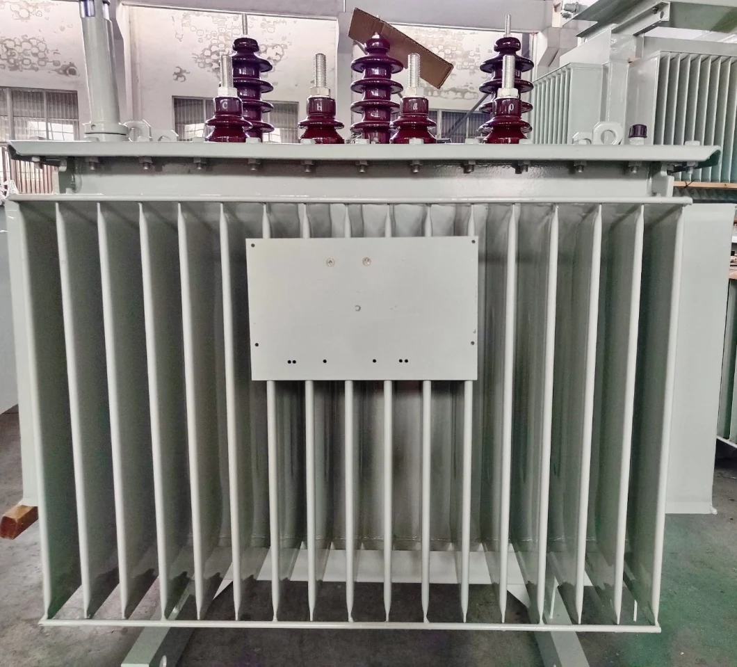 Low Loss Three-Phase Two-Winding No-Excitation Distribution Power Amorphous Coil Core Distribution Transformer